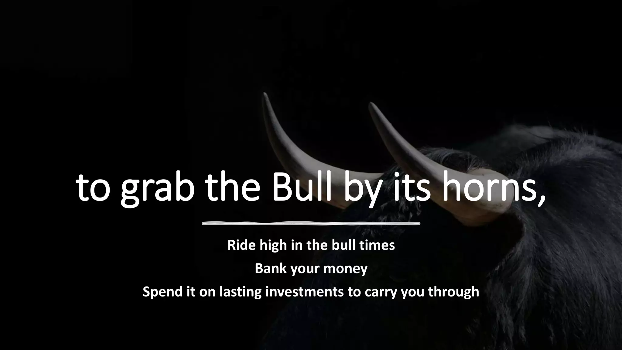 to grab the Bull by its horns,
Ride high in the bull times
Bank your money
Spend it on lasting investments to carry you through
 