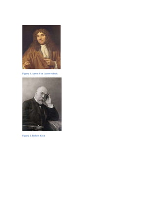 Figura 1. Anton Van Leeuwenhoek




Figura 2. Robert Koch
 