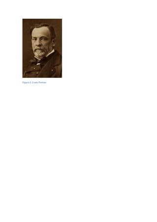 Figura 3. Louis Pasteur
 