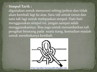  Simpul Tarik :

digunakan untuk menuruni tebing/pohon dan tidak
akan kembali lagi ke atas. Satu tali untuk turun dan
satu tali lagi untuk melepaskan simpul. Hati-hati
menggunakan simpul ini, jangan sampai salah
menggunakannya. Bisa juga untuk menambatkan tali
pengikat binatang pada suatu tiang, kemudian mudah
untuk membukanya kembali.

 