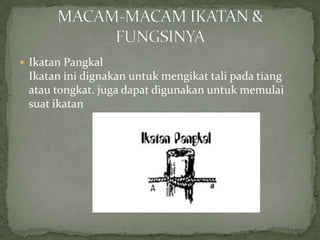  Ikatan Pangkal

Ikatan ini dignakan untuk mengikat tali pada tiang
atau tongkat. juga dapat digunakan untuk memulai
suat ikatan

 