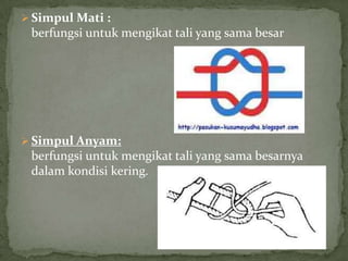  Simpul Mati :

berfungsi untuk mengikat tali yang sama besar

 Simpul Anyam:

berfungsi untuk mengikat tali yang sama besarnya
dalam kondisi kering.

 