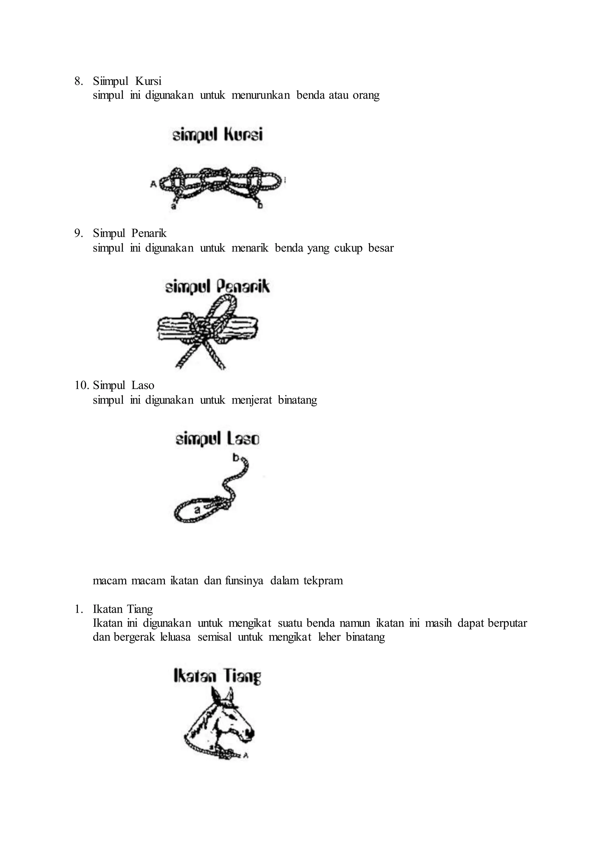 Pionering | DOCX