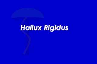 Hallux Rigidus
 