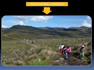 PARQUE NACIONAL LLANGANATES
 