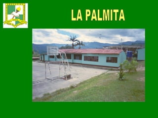 LA PALMITA 