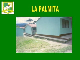 LA PALMITA 