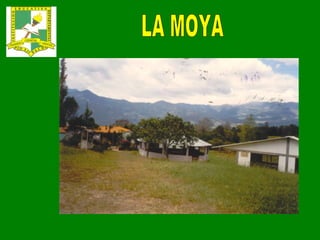 LA MOYA 
