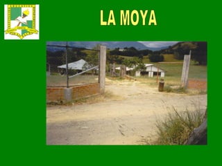 LA MOYA 