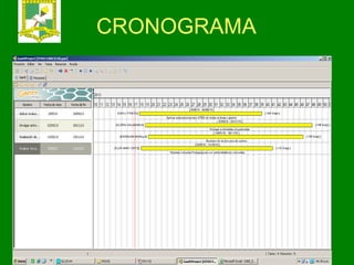 CRONOGRAMA 