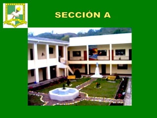 SECCIÓN A 