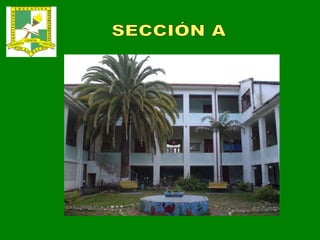 SECCIÓN A 