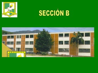 SECCIÓN B 
