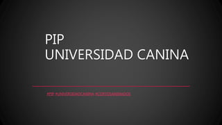 PIP
UNIVERSIDAD CANINA
#PIP #UNIVERSIDADCANINA #CORTOSANIMADOS
 