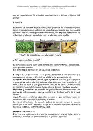 PERFIL DE PROYECTO: “MEJORAMIENTO DE LA CADENA PRODUCTIVA EN LA PRODUCCIÓN DE LÁCTEOS EN LAS
COMUNIDADES DEL DISTRITO DE ORCOPAMPA-CASTILLA-AREQUIPA”.
100
con los requerimientos del animal en sus diferentes condiciones y objetivos del
animal.
Finalidad.
En el caso de animales de producción (carne y/o leche) es fundamental que la
ración proporcione al animal todos los nutrientes que necesite, que prevenga la
aparición de trastornos digestivos o metabólicos, que exprese en el animal su
máximo de producción con calidad y con el más bajo costo posible.
Buena alimentación. Buena producción. Producción barata.
Fotos N° 06, alimentación, reproductoras y quesos
¿Con que alimentar a la vaca?
La alimentación diaria de mi vaca lechera debe contener forraje, concentrado,
agua y sales minerales.
Los alimentos se clasifican en las siguientes categorías:
Forrajes. Es la parte verde de la planta, cosechada o sin cosechar que
contienen una alta proporción de fibra: alfalfa, vicia, avena raigrás, etc.
Concentrados (alimentos para energía y proteína) alimento que se prepara
mezclando varios ingredientes, se les da a las vacas que estén produciendo 12
litros o más de leche al día, generalmente después del parto. Ejemplo: harina
de pescado, maíz molido, melaza, harina integral de soya y pasta de algodón
Minerales y Vitaminas. El alimento del ganado lechero contener unos 150
gramos de sales minerales, es muy importante en la alimentación de la vaca
lechera
Agua. Nunca debe faltarles agua a los animales en gran cantidad, ya que la
deshidratación causa baja producción y la muerte.
La buena alimentación del ganado lechero se cumple siempre y cuando
contengan todas estas categorías: forraje verde, concentrado balanceado entre
energía y proteínas, salen minerales y agua.
Una Ración Balanceada
Para que una ración alimenticia sea de buena calidad debe ser balanceada y
será mejor aprovechada por los animales, la que debe contener:
 