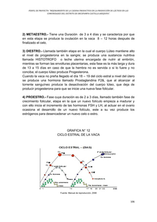 PERFIL DE PROYECTO: “MEJORAMIENTO DE LA CADENA PRODUCTIVA EN LA PRODUCCIÓN DE LÁCTEOS EN LAS
COMUNIDADES DEL DISTRITO DE ORCOPAMPA-CASTILLA-AREQUIPA”.
106
2) METAESTRO.- Tiene una Duración de 3 a 4 días y se caracteriza por que
en esta etapa se produce la ovulación en la vaca 8 – 12 horas después de
finalizado el celo.
3) DIESTRO.- Llamada también etapa en la cual el cuerpo Lúteo mantiene alto
el nivel de progesterona en la sangre; se produce una sustancia nutritiva
llamada HISTOTROFO o leche uterina encargada de nutrir al embrión,
mientras se forman las envolturas placentarias, esta fase es la más larga y dura
de 13 a 15 días en caso de que la hembra no es servida o si lo fuere y no
conciba; el cuerpo lúteo produce Progesterona.
Cuando la vaca no preña llegado el día 18 – 19 del ciclo estral a nivel del útero
se produce una hormona llamado Prostaglandina F2&, que al alcanzar al
torrente sanguíneo produce la desactivación del cuerpo lúteo, que deja de
producir progesterona para que se inicie una nueva fase folicular.
4) PROESTRO.- Fase cuya duración es de 2 a 3 días, llamado también fase de
crecimiento folicular, etapa en la que un nuevo folículo empieza a madurar y
con ello inicia el incremento de las hormonas FSH y LH, al actuar en el ovario
ocasiona el desarrollo de un nuevo folículo, este a su vez produce los
estrógenos para desencadenar un nuevo celo o estro.
GRAFICA N° 12
CICLO ESTRAL DE LA VACA
Fuente: Manual de reproducción, 2006
 