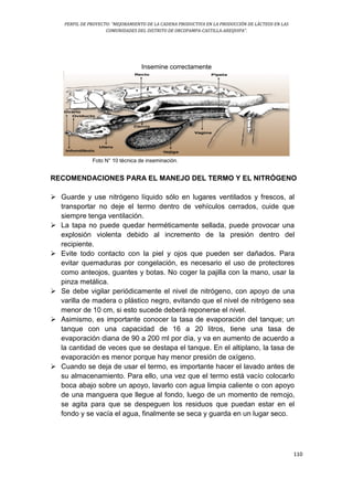 PERFIL DE PROYECTO: “MEJORAMIENTO DE LA CADENA PRODUCTIVA EN LA PRODUCCIÓN DE LÁCTEOS EN LAS
COMUNIDADES DEL DISTRITO DE ORCOPAMPA-CASTILLA-AREQUIPA”.
110
Insemine correctamente
Foto N° 10 técnica de inseminación.
RECOMENDACIONES PARA EL MANEJO DEL TERMO Y EL NITRÓGENO
 Guarde y use nitrógeno líquido sólo en lugares ventilados y frescos, al
transportar no deje el termo dentro de vehículos cerrados, cuide que
siempre tenga ventilación.
 La tapa no puede quedar herméticamente sellada, puede provocar una
explosión violenta debido al incremento de la presión dentro del
recipiente.
 Evite todo contacto con la piel y ojos que pueden ser dañados. Para
evitar quemaduras por congelación, es necesario el uso de protectores
como anteojos, guantes y botas. No coger la pajilla con la mano, usar la
pinza metálica.
 Se debe vigilar periódicamente el nivel de nitrógeno, con apoyo de una
varilla de madera o plástico negro, evitando que el nivel de nitrógeno sea
menor de 10 cm, si esto sucede deberá reponerse el nivel.
 Asimismo, es importante conocer la tasa de evaporación del tanque; un
tanque con una capacidad de 16 a 20 litros, tiene una tasa de
evaporación diana de 90 a 200 ml por día, y va en aumento de acuerdo a
la cantidad de veces que se destapa el tanque. En el altiplano, la tasa de
evaporación es menor porque hay menor presión de oxígeno.
 Cuando se deja de usar el termo, es importante hacer el lavado antes de
su almacenamiento. Para ello, una vez que el termo está vacío colocarlo
boca abajo sobre un apoyo, lavarlo con agua limpia caliente o con apoyo
de una manguera que llegue al fondo, luego de un momento de remojo,
se agita para que se despeguen los residuos que puedan estar en el
fondo y se vacía el agua, finalmente se seca y guarda en un lugar seco.
 