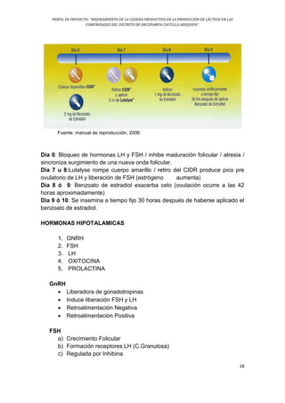 PERFIL DE PROYECTO: “MEJORAMIENTO DE LA CADENA PRODUCTIVA EN LA PRODUCCIÓN DE LÁCTEOS EN LAS
COMUNIDADES DEL DISTRITO DE ORCOPAMPA-CASTILLA-AREQUIPA”.
18
Fuente: manual de reproducción, 2006
Día 0: Bloqueo de hormonas LH y FSH / inhibe maduración folicular / atresia /
sincroniza surgimiento de una nueva onda folicular.
Día 7 u 8:Lutalyse rompe cuerpo amarillo / retiro del CIDR produce pico pre
ovulatorio de LH y liberación de FSH (estrógeno aumenta)
Día 8 ó 9: Benzoato de estradiol exacerba celo (ovulación ocurre a las 42
horas aproximadamente)
Día 9 ó 10: Se insemina a tiempo fijo 30 horas después de haberse aplicado el
benzoato de estradiol.
HORMONAS HIPOTALAMICAS
1. GNRH
2. FSH
3. LH
4. OXITOCINA
5. PROLACTINA
GnRH
 Liberadora de gonadotropinas
 Induce liberación FSH y LH
 Retroalimentación Negativa
 Retroalimentación Positiva
FSH
a) Crecimiento Folicular
b) Formación receptores LH (C.Granulosa)
c) Regulada por Inhibina
 