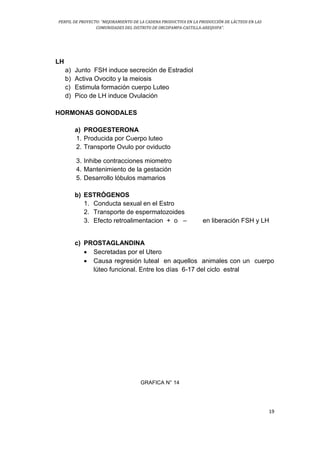 PERFIL DE PROYECTO: “MEJORAMIENTO DE LA CADENA PRODUCTIVA EN LA PRODUCCIÓN DE LÁCTEOS EN LAS
COMUNIDADES DEL DISTRITO DE ORCOPAMPA-CASTILLA-AREQUIPA”.
19
LH
a) Junto FSH induce secreción de Estradiol
b) Activa Ovocito y la meiosis
c) Estimula formación cuerpo Luteo
d) Pico de LH induce Ovulación
HORMONAS GONODALES
a) PROGESTERONA
1. Producida por Cuerpo luteo
2. Transporte Ovulo por oviducto
3. Inhibe contracciones miometro
4. Mantenimiento de la gestación
5. Desarrollo lóbulos mamarios
b) ESTRÓGENOS
1. Conducta sexual en el Estro
2. Transporte de espermatozoides
3. Efecto retroalimentacion + o – en liberación FSH y LH
c) PROSTAGLANDINA
 Secretadas por el Utero
 Causa regresión luteal en aquellos animales con un cuerpo
lúteo funcional. Entre los días 6-17 del ciclo estral
GRAFICA N° 14
 