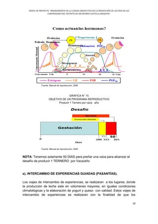 PERFIL DE PROYECTO: “MEJORAMIENTO DE LA CADENA PRODUCTIVA EN LA PRODUCCIÓN DE LÁCTEOS EN LAS
COMUNIDADES DEL DISTRITO DE ORCOPAMPA-CASTILLA-AREQUIPA”.
20
Fuente. Manual de reproducción, 2006
GRAFICA N° 15
OBJETIVO DE UN PROGRAMA REPRODUCTIVO
Producir 1 Ternero por vaca año
Fuente: Manual de reproducción, 2006
NOTA: Tenemos solamente 50 DIAS para preñar una vaca para alcanzar el
desafío de producir 1 TERNERO por Vaca/año
e). INTERCAMBIO DE EXPERIENCIAS GUIADAS (PASANTÍAS).
Los viajes de intercambio de experiencias, se realizaran a los lugares, donde
la producción de leche este en volúmenes mayores, en iguales condiciones
climatológicas y la elaboración de yogurt y queso con calidad. Estos viajes de
intercambio de experiencias se realizaran con la finalidad de que los
 