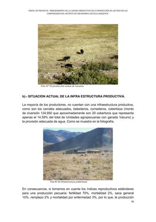 PERFIL DE PROYECTO: “MEJORAMIENTO DE LA CADENA PRODUCTIVA EN LA PRODUCCIÓN DE LÁCTEOS EN LAS
COMUNIDADES DEL DISTRITO DE ORCOPAMPA-CASTILLA-AREQUIPA”.
78
Foto N° 02 producción actual de vacunos
b).- SITUACION ACTUAL DE LA INFRA ESTRUCTURA PRODUCTIVA.
La mayoría de los productores, no cuentan con una infraestructura productiva,
como son los carrales adecuados, bebederos, comederos, cobertizos (monto
de inversión 124,950 que aproximadamente son 20 cobertizos que representa
apenas el 14.59% del total de Unidades agropecuarias con ganado Vacuno) y
la provisión adecuada de agua. Como se muestra en la fotografía.
Foto N° 03 infraestructura (cobertizos)
En consecuencia, si tomamos en cuenta los índices reproductivos estándares
para una producción pecuaria: fertilidad 70%, mortalidad 2%, saca general
10%, remplazo 2% y mortalidad por enfermedad 3%, por lo que, la producción
 