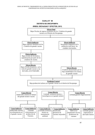 PERFIL DE PROYECTO: “MEJORAMIENTO DE LA CADENA PRODUCTIVA EN LA PRODUCCIÓN DE LÁCTEOS EN LAS
COMUNIDADES DEL DISTRITO DE ORCOPAMPA-CASTILLA-AREQUIPA”.
87
Gráfico N° 08
DISTRITO DE ORCOPAMPA:
ÁRBOL DECAUSAS Y EFECTOS, 2012.
Problema Central
Baja producción lechera en el ganado vacuno en el distrito de Orcopampa.
Efecto Indirecto
Incremento migratorio de la
población rural hacia las
ciudades intermedias.
Efecto Indirecto
Bajos ingresos familiares de los
Criadores de ganado vacuno.
Efecto Final
Bajos Niveles de ingreso económico de los Criadores de ganado
vacuno en el Distrito de Orcopampa.
Efecto Indirecto
Bajos niveles de Inversión y
capitalización por parte de los
criadores de vacuno.
Efecto Directo
Bajos Niveles de precios en la
venta de ganado vacuno y sus
derivados, en el mercado.
Efecto Directo
Criadores desanimados por la
baja rentabilidad en la crianza
de ganado vacuno
Causa Directa
Limitada gestión Organizacional
Causa Directa
Inadecuado sistema de manejo
del ganado lechero vacuno.
Causa Indirecta
Limitada gestión
empresarial en
derivados lácteos
Causa Indirecta
Insuficiente
presencia de
vacunos mejorados
Causa Indirecta
Limitada asistencia
técnica en
inseminación
artificial
Causa Indirecta
Limitada
conocimiento en
producción de
Vacunos.
Causa Indirecta
Inadecuada sistema
de alimentación en
el ganado vacuno.
Causa Directa
Limitada asistencia técnica y
tecnológica en el ganado lechero
Causa Indirecta
Débil nivel
Organizativo de los
productores de
vacunos
 