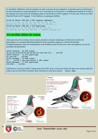 Vente Tournai-Kain Janvier 2021
Page 11/12
En attendant, Sébastien vient de marquer un autre concours de son emprunte, la dernière grosse performance
en date remontant au week-end dernier avec le concours de La Ferté qu'il a véritablement dominé de la tête et
des épaules avec pas moins de 20 pigeons dans le top 50 face à 6.987 engagés et 47 prix par 10 pour un bilan
final de 58 prix de 87 engagés. Voici d'ailleurs en quelques chiffres:
01/06 La Ferté (354 km) 6.987 pigeons (général):
1, 2, 5, 7, 8, 11, 21, 22, 23, 24, 25, 31, 33, 40,
43, 44, 46, 47, 49, 52, 57, 69, 73, 77, 80, 88, ...
01/06 La Ferté (354 km) 3.474 yearlings:
2, 9, 10, 15, 17, 19, 20, 22, 23, 25, 28, 30,
33, 36, 38, 43, 50, 61, 80, 91, ... (50/60, 25x par 10)
Un terrible début de saison
Alors que nous n'en sommes encore qu'aux premiers concours nationaux, le bilan de la colonie de
Russeignies est vraiment éblouissant après les deux premières étapes de Vierzon & Bourges.
D'impressionnantes séries de constatations et de nombreux prix de tête sont venus récompenser un travail
quotidien de passionnés.
18/05 Vierzon - 20.956 vieux:
12-16-18-19-29-38-42-45-60-98-110-124-161-173-... (51/78)
18/05 Vierzon - 11.574 yearlings:
97-135-150-... (12/26)
25/05 Bourges - 23.858 vieux:
19-... (12/40 & 1er provincial 2.395 vieux)
25/05 Bourges - 17.818 yearlings:
153-299-... (12/40)
Félicitations à toute la famille Casaert ainsi qu'au PEC pour ce nouveau temps fort dans une carrière déjà très
riche et qui est loin d'être terminée. Bon vent pour la suite de la saison! (Source : Pipa)
 