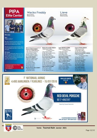 Vente Tournai-Kain Janvier 2021
Page 12/12
 