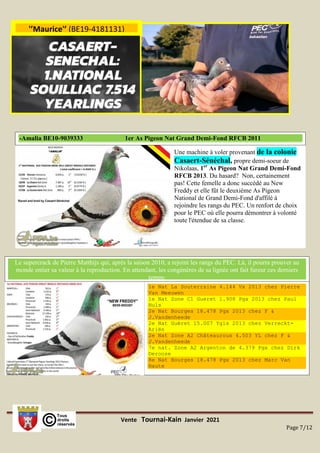Vente Tournai-Kain Janvier 2021
Page 7/12
1e Nat La Souterraine 4.144 Vx 2013 chez Pierre
Van Meeuwen
1e Nat Zone C1 Gueret 1.908 Pgx 2013 chez Paul
Huls
2e Nat Bourges 18.478 Pgx 2013 chez F &
J.Vandenheede
2e Nat Guéret 15.007 Ygls 2013 chez Verreckt-
Ariën
2e Nat Zone A2 Châteauroux 4.503 YL chez F &
J.Vandenheede
7e nat. Zone A2 Argenton de 4.379 Pgx chez Dirk
Deroose
8e Nat Bourges 18.478 Pgx 2013 chez Marc Van
Haute
Le supercrack de Pierre Matthijs qui, après la saison 2010, a rejoint les rangs du PEC. Là, il pourra prouver au
monde entier sa valeur à la reproduction. En attendant, les congénères de sa lignée ont fait fureur ces derniers
temps:
Une machine à voler provenant de la colonie
Casaert-Sénéchal, propre demi-soeur de
Nikolaas, 1er
As Pigeon Nat Grand Demi-Fond
RFCB 2013. Du hasard? Non, certainement
pas! Cette femelle a donc succédé au New
Freddy et elle fût le deuxième As Pigeon
National de Grand Demi-Fond d'affilé à
rejoindre les rangs du PEC. Un renfort de choix
pour le PEC où elle pourra démontrer à volonté
toute l'étendue de sa classe.
-Amalia BE10-9039333 1er As Pigeon Nat Grand Demi-Fond RFCB 2011
'’Maurice'’ (BE19-4181131)
 