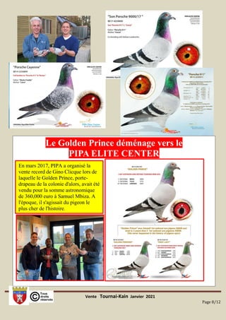 Vente Tournai-Kain Janvier 2021
Page 8/12
Le Golden Prince déménage vers le
PIPA ELITE CENTER
En mars 2017, PIPA a organisé la
vente record de Gino Clicque lors de
laquelle le Golden Prince, porte-
drapeau de la colonie d'alors, avait été
vendu pour la somme astronomique
de 360,000 euro à Samuel Mbiza. A
l'époque, il s'agissait du pigeon le
plus cher de l'histoire.
 