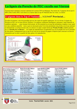 Vente Tournai-Kain Janvier 2021
Page 9/12
La lignée du Porsche de PEC excelle sur Vierzon
Vierzon était le premier concours national de la saison 2019 en Belgique. Pas moins de 13 pigeons élevés par le
PIPA Elite Center (PEC) ont réussi à se classer dans le top 45 National chez les vieux. La classe!
13 pigeons dans le Top 47 National… 1-2-3-4-5e
Provincial…
Exceller & dominer, cela n'est possible qu'avec des sujets de qualité supérieure. Et à ce niveau, la lignée du
Porsche de PEC est en train d'écrire l'histoire. Ces pigeons combinent intelligence, puissance, santé naturelle et
condition optimale... – pour résumer brièvement, un fort potentiel au niveau des prestations couplées à une santé
et à une condition naturelle – tout ce qui est nécessaire pour livrer des prestations cinq étoiles au niveau national
et international. A la base de tout cela, on retrouve le super couple formé par Wacko Freddy x Lieve (parents
de e.a. Porsche 911 et Boxter)… un couple de reproducteurs exceptionnel avec de la poudre d'or sur la moindre
de leur plume. Pratiquement tout ce qui en est issu est en mesure de gagner n'importe quel concours ou bien de
transmettre par la suite la qualité de leurs gênes à la reproduction.
 