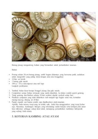 Batang pisang mengandung kalium yang bermanfaat untuk pertumbuhan tanaman.
Bahan:
 Potong sekitar 50 cm batang pisang, ambil bagian dalamnya yang berwarna putih, usahakan
untuk mengambil yang paling dekat dengan akar atau bonggolnya
 10 liter air bersih
 1 batang gula merah
 100 cc / 10 cc dekomposer atau mol tape
Langkah pembuatan:
1. Tumbuk bahan dasar berupa bonggol pisang dan gula merah.
2. Campurkan semua bahan, termasuk yang sudah ditumbuk, ke dalam wadah seperti gentong.
3. Tutup gentong dan biarkan selama 10 hari sembari diaduk sesekali setiap hari.
4. Pisahkan campuran yang telah didiamkan tadi menjadi tiga bagian sama rata, kemudian
masing-masing dituang air 20 liter.
5. Pupuk organik cair buatan sendiri siap diaplikasikan pada tanaman.
Apabila Anda merasa resep yang ini terlalu sulit, Anda bisa menggunakan yang resep kedua
saja. Alasannya, kandungan nitrogen yang terkandung sudah banyak serta terdapat pula unsur
hara mikronya sehingga cukup ideal untuk menunjang pertumbuhan tumbuhan hidroponik
yang sedang Anda tanam.
5. KOTORAN KAMBING ATAU AYAM
 