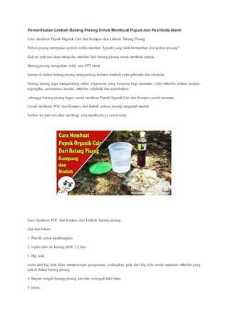 Pemanfaatan Limbah Batang Pisang Untuk Membuat Pupuk dan Pestisida Alami
Cara membuat Pupuk Organik Cair dan Kompos dari Limbah Batang Pisang.
Pohon pisang merupakan pohon seribu manfaat. Apasih yang tidak bermanfaat dari pohon pisang?
Kali ini pak tani akan mengulas manfaat dari batang pisang untuk membuat pupuk.
Batang pisang merupakan salah satu ZPT alami.
karena di dalam batang pisang mengandung hormon tumbuh yaitu giberalin dan sitokinin.
batang pisang juga mengandung mikro organisme yang berguna bagi tanaman, yaitu mikroba pelarut pospat,
aspergilus, aeromonas, basilus, mikroba selulotik dan azotobakter.
sehingga batang pisang bagus untuk membuat Pupuk Organik Cair dan Kompos untuk tanaman.
Untuk membuat POC dan Kompos dari limbah pohon pisang sangatlah mudah.
berikut ini pak tani akan membagi cara membuatnya untuk anda.
Cara membuat POC dan kompos dari Limbah batang pisang.
alat dan bahan.
1. Plastik untuk membungkus.
2. toples diisi air kurang lebih 1,5 liter.
3. Big kola.
asam dari big kola akan mempercepat penguraian, sedangkan gula dari big kola untuk makanan mikroba yang
ada di dalam batang pisang.
4. Bagian tengah batang pisang, kira kira setengah kilo Gram.
5. pisau.
 