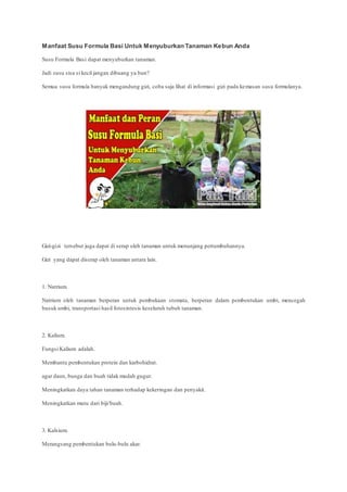 Manfaat Susu Formula Basi Untuk Menyuburkan Tanaman Kebun Anda
Susu Formula Basi dapat menyuburkan tanaman.
Jadi susu sisa si kecil jangan dibuang ya bun?
Semua susu formula banyak mengandung gizi, coba saja lihat di informasi gizi pada kemasan susu formulanya.
Gizi-gizi tersebut juga dapat di serap oleh tanaman untuk menunjang pertumbuhannya.
Gizi yang dapat diserap oleh tanaman antara lain.
1. Natrium.
Natrium oleh tanaman berperan untuk pembukaan stomata, berperan dalam pembentukan umbi, mencegah
busuk umbi, transportasi hasil fotosintesis keseluruh tubuh tanaman.
2. Kalium.
Fungsi Kalium adalah.
Membantu pembentukan protein dan karbohidrat.
agar daun, bunga dan buah tidak mudah gugur.
Meningkatkan daya tahan tanaman terhadap kekeringan dan penyakit.
Meningkatkan mutu dari biji/buah.
3. Kalsium.
Merangsang pembentukan bulu-bulu akar.
 