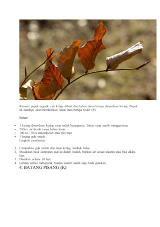 Ramuan pupuk organik cair ketiga dibuat dari bahan dasar berupa daun-daun kering. Pupuk
ini nantinya akan memberikan unsur hara berupa fosfor (P).
Bahan:
 1 karung daun-daun kering yang sudah berguguran, bukan yang masih menggantung
 20 liter air bersih tanpa bahan kimia
 100 cc / 10 cc dekomposer atau mol tape
 1 batang gula merah
Langkah pembuatan:
1. Campurkan gula merah dan daun kering, tumbuk halus.
2. Masukkan hasil campuran tadi ke dalam wadah, berikan air sesuai takaran atau bisa dikira-
kira.
3. Diamkan selama 10 hari.
4. Larutan nutrisi hidroponik buatan sendiri sudah siap Anda gunakan.
4. BATANG PISANG (K)
 
