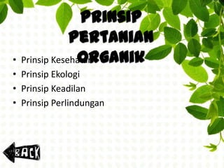 Pertanian-Organik-6-320.jpg