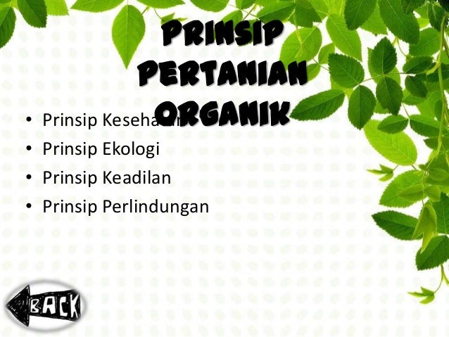 Pertanian Organik Pertanian Organik