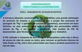 ETAPA 2 – PASSAGEM DE PIG / APLICAÇÃO DE PROTETIVO 
A Estrutura (desenho construtivo) do PIG, possibilitou uma grande otimização 
do processo de limpeza e passivação, já que a junção dos processos de 
passagem de “Pig” e aplicação do passivante (protetivo), ocorreriam em fases 
distintas, ou seja, primeiro seria feita a remoção dos particulados sólidos 
através do Pig, e em seguida a passivação. Este modelo de PIG foi 
desenvolvido pelo Técnico Bernardino N. Nascimento e Globaltch. 
O PIG utilizado é composto de dois discos de polipropileno entre eixo e discos 
de escova de rabo de cavalo ou nylon, para remover as partículas internas do 
tubo fixado ao Pig, está o bico pulverizador que lança o produto passivante no 
raio do tubo. 
 