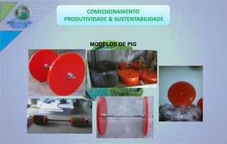 MODELOS DE PIG 
 