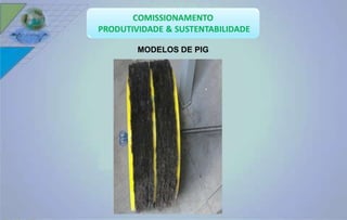 MODELOS DE PIG 
 