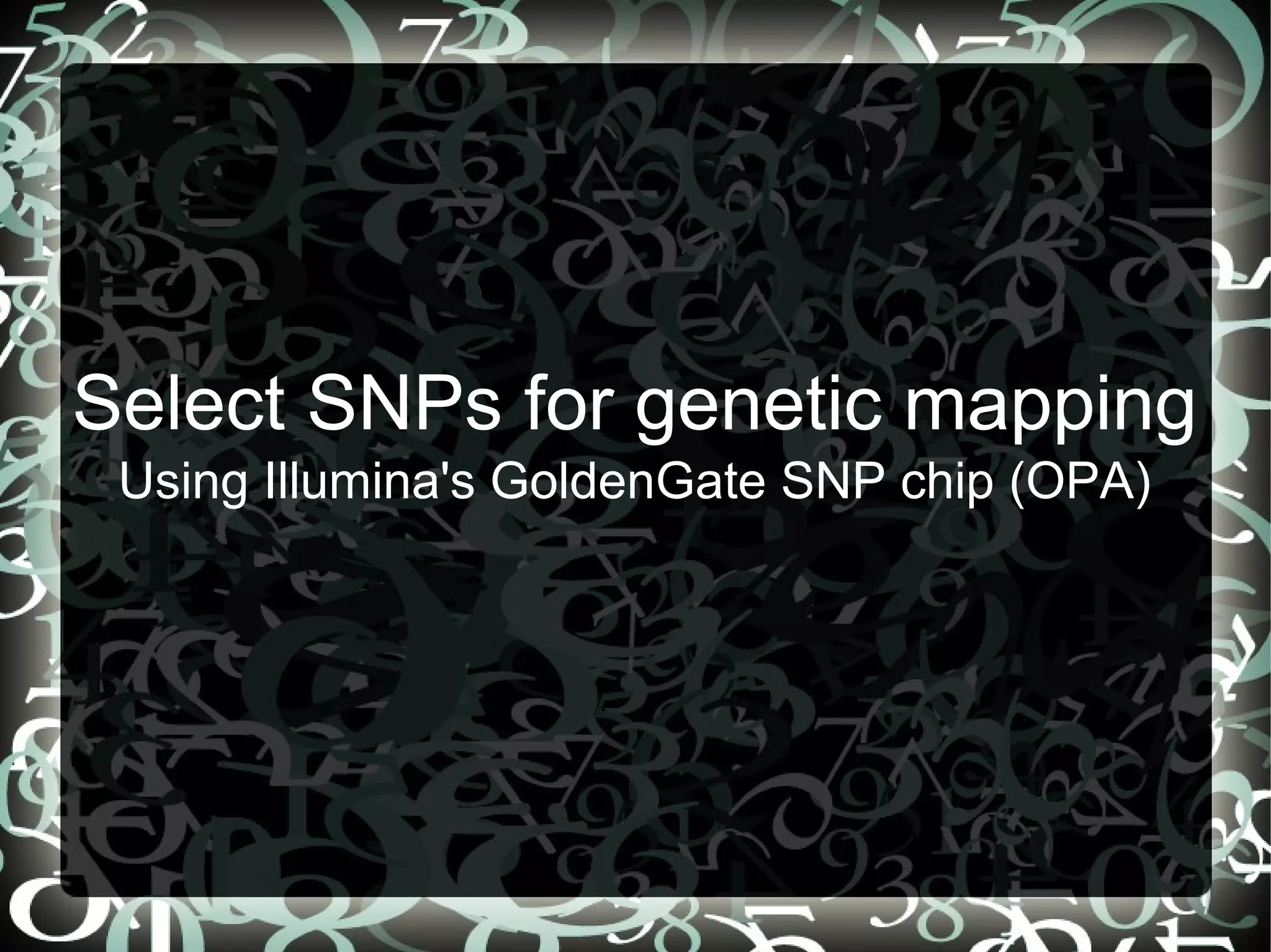 Select SNPs for genetic mapping
 Using Illumina's GoldenGate SNP chip (OPA)




                                23
 