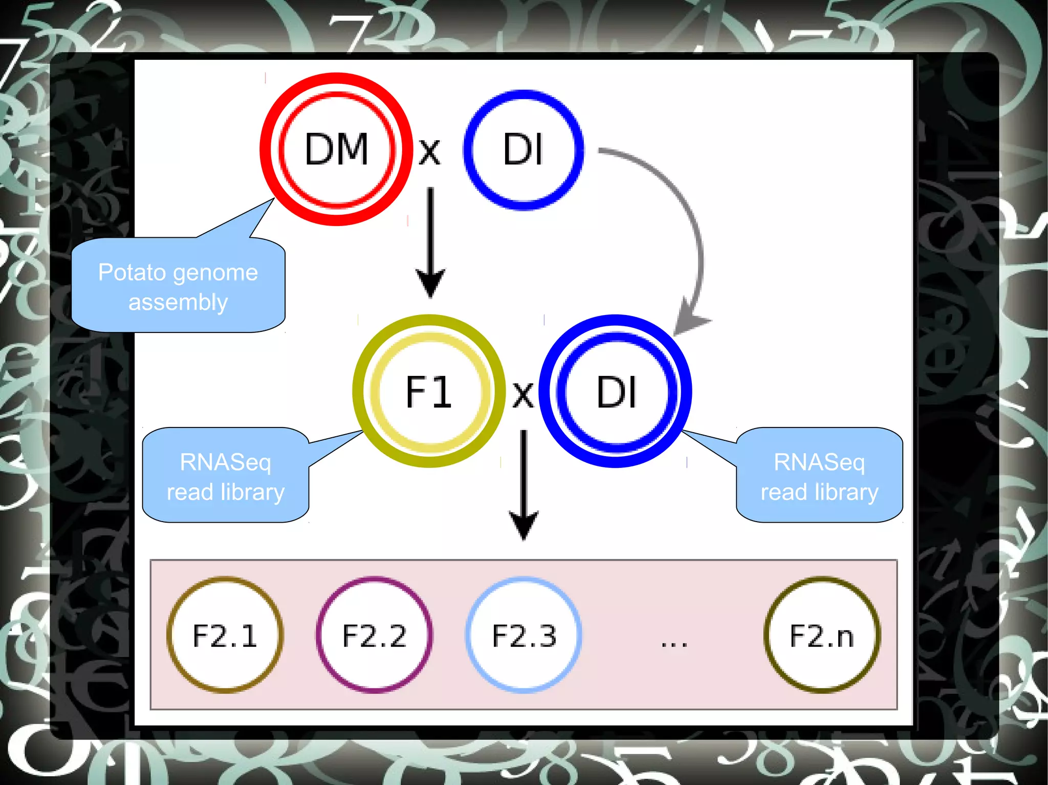 Potato genome
  assembly




      RNASeq          RNASeq
     read library    read library




                    36
 
