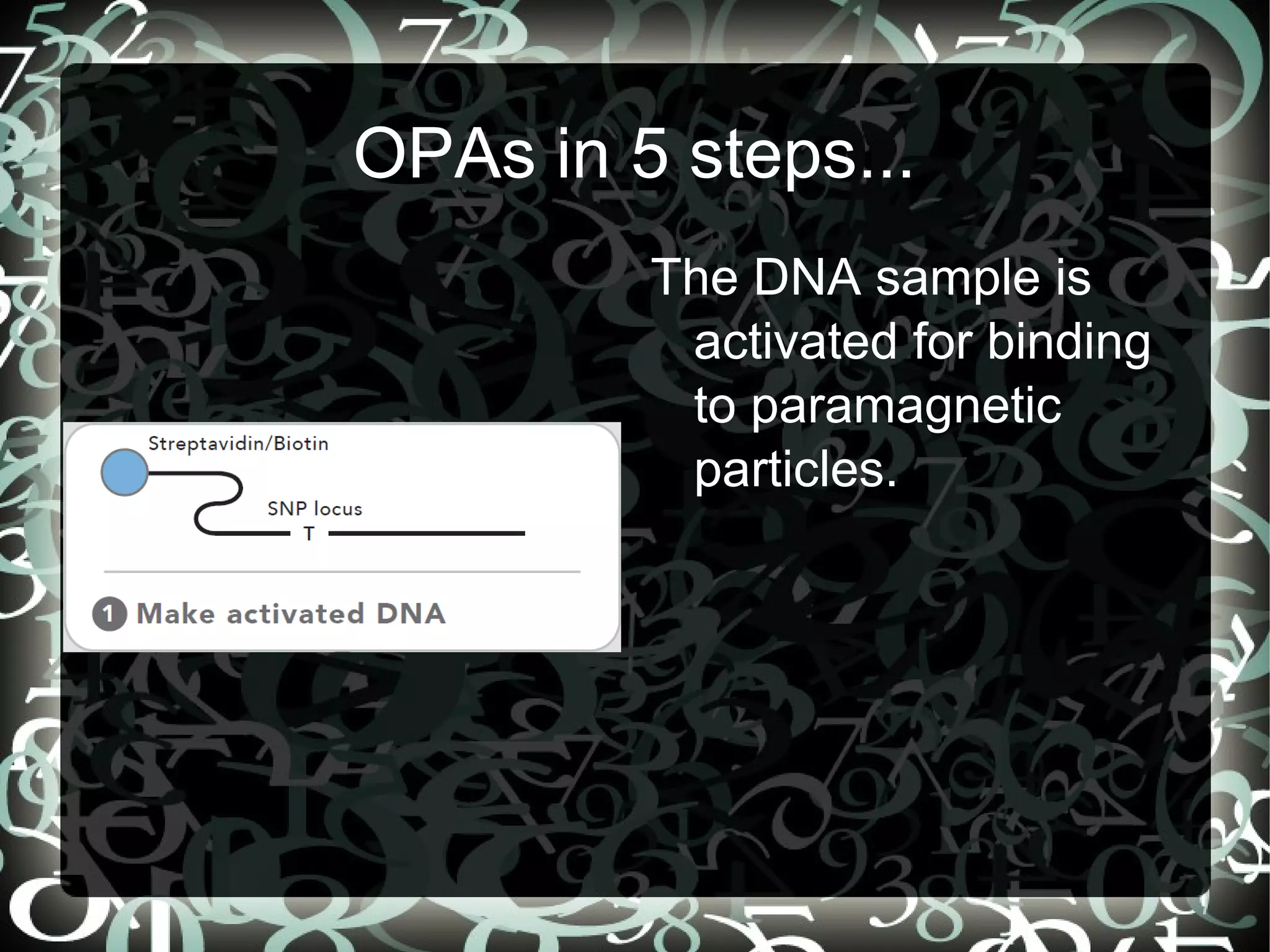 OPAs in 5 steps...
         The DNA sample is
          activated for binding
          to paramagnetic
          particles.
 