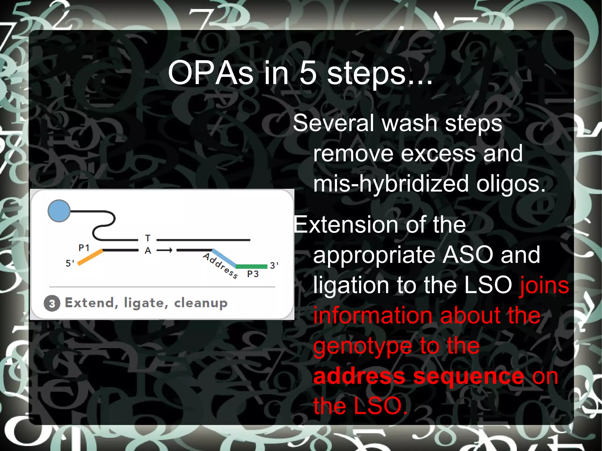 OPAs in 5 steps...
        Several wash steps
         remove excess and
         mis-hybridized oligos.
        Extension of the
         appropriate ASO and
         ligation to the LSO joins
         information about the
         genotype to the
         address sequence on
         the LSO.
 