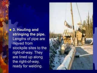  3. Hauling and
stringing the pipe.
Lengths of pipe are
moved from
stockpile sites to the
right-of-way. They
are lined up along
the right-of-way,
ready for welding.
 