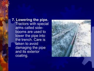 7. Lowering the pipe.
Tractors with special
arms called side-
booms are used to
lower the pipe into
the trench. Care is
taken to avoid
damaging the pipe
and its exterior
coating.
 