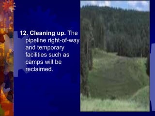 12. Cleaning up. The
pipeline right-of-way
and temporary
facilities such as
camps will be
reclaimed.
 