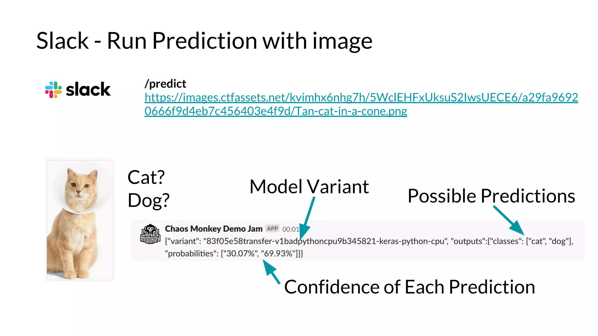 Slack - Run Prediction with image
Cat?
Dog?
/predict
https://images.ctfassets.net/kvimhx6nhg7h/5WclEHFxUksuS2IwsUECE6/a29fa9692
0666f9d4eb7c456403e4f9d/Tan-cat-in-a-cone.png
Model Variant
Confidence of Each Prediction
Possible Predictions
 