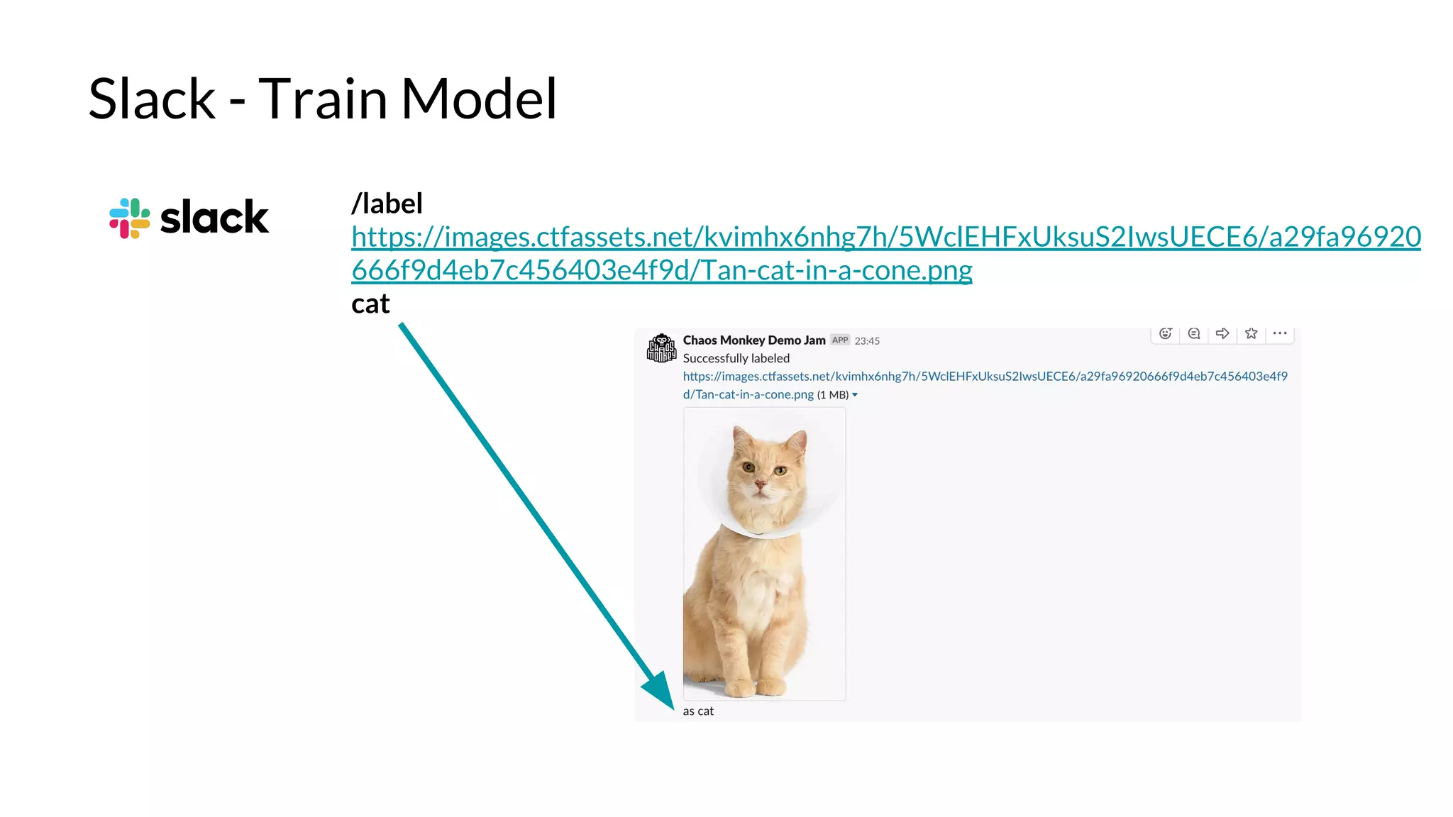 Slack - Train Model
/label
https://images.ctfassets.net/kvimhx6nhg7h/5WclEHFxUksuS2IwsUECE6/a29fa96920
666f9d4eb7c456403e4f9d/Tan-cat-in-a-cone.png
cat
 