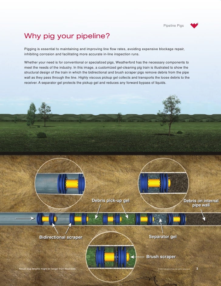 Weatherford Pipeline pigs